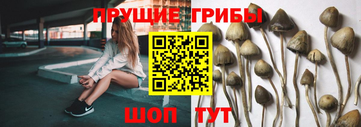 Псилоцибиновые грибы Psilocybe  Псилоцибиновые грибы Magic Shrooms  Вход с VPN  Калуга 