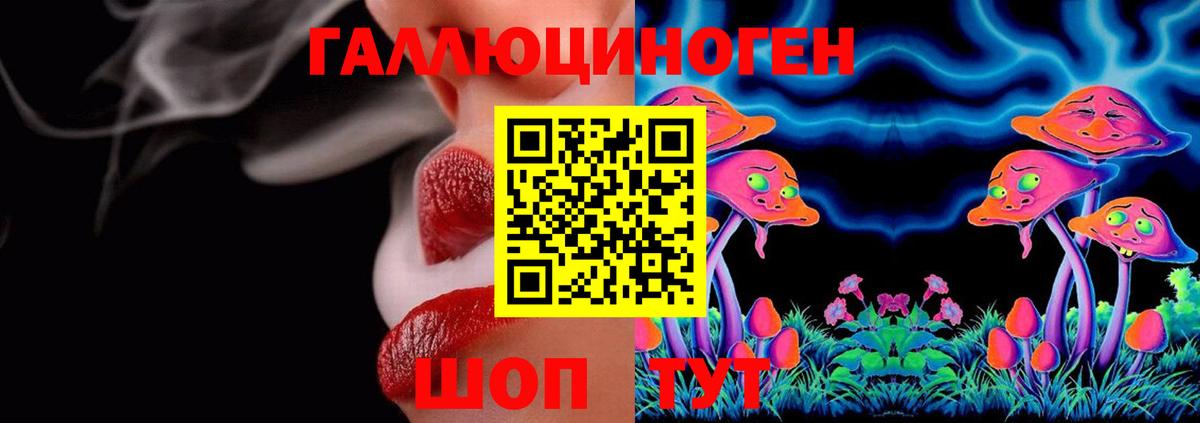 Псилоцибиновые грибы Psilocybe Калуга